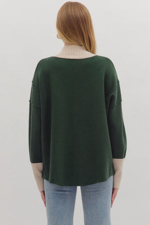Contrast Turtleneck Sweater