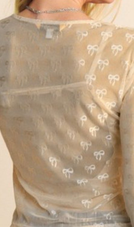 Ribbon Embroidered Mesh Top