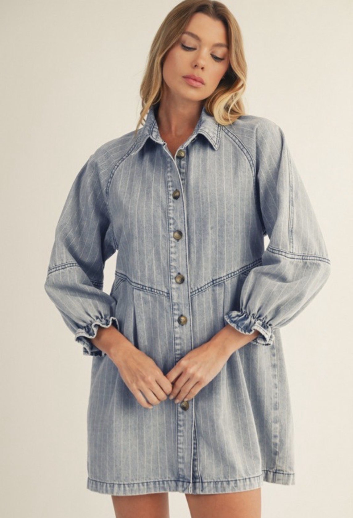Ruffled Sleeve Denim Dress
