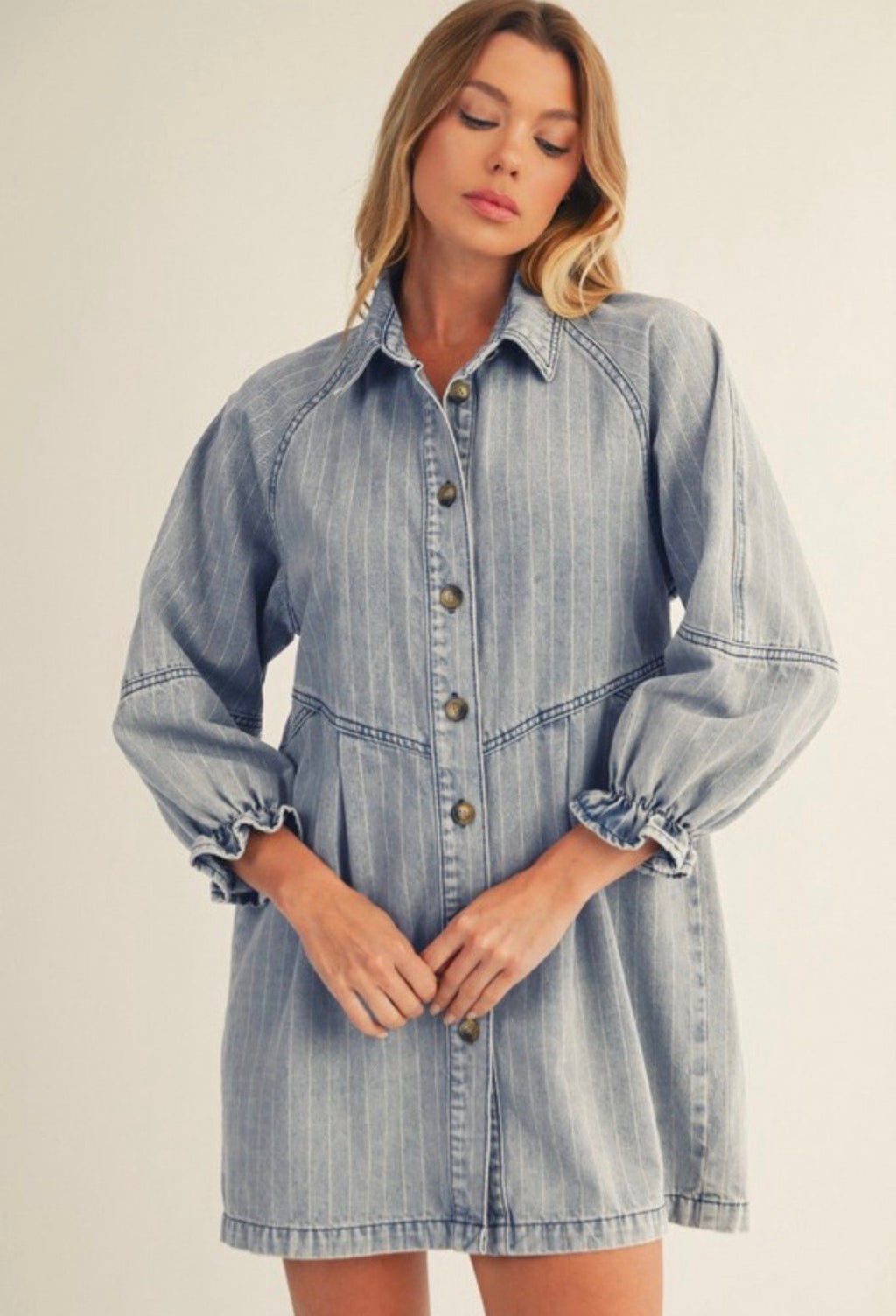 Ruffled Sleeve Denim Dress