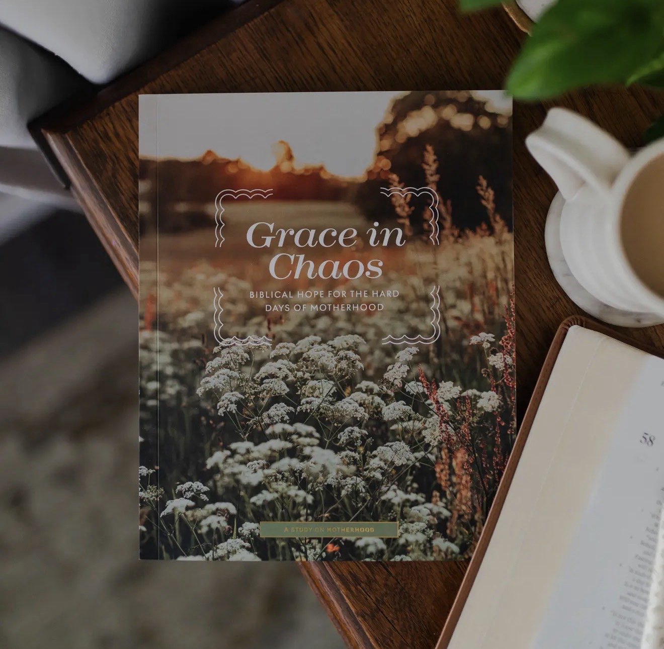 Grace In Chaos/ For a hard Days in Motherhood
